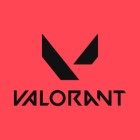 collection avatar